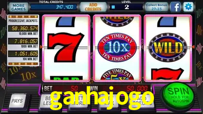 A Experiência Imersiva dos Cassinos Ao Vivo no ganhajogo